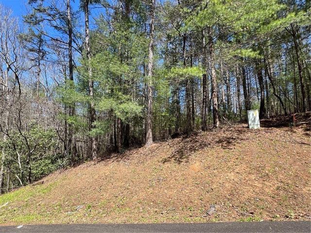 0 Trout Line Court, Talking Rock, GA 30175