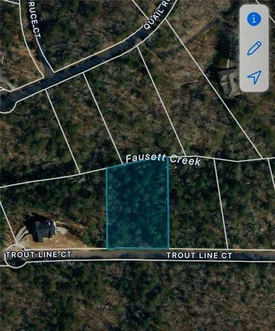 0 Trout Line Court, Talking Rock, GA 30175