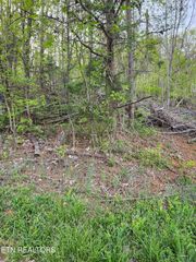 NE Lot #2 Walk In The Trees Drive, New Market, TN 37820