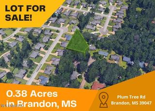 136 Plum Tree Road, Brandon, MS 39047