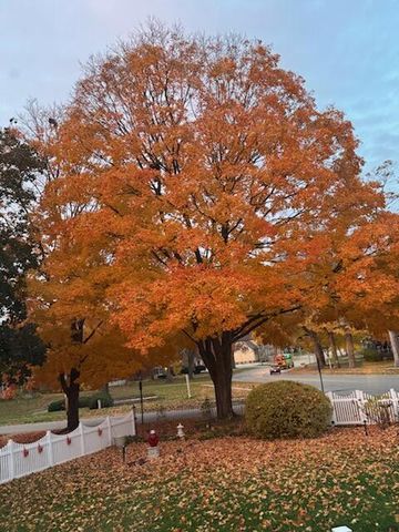 806 Racine STREET, Delavan, WI 53115