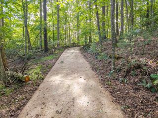 5198 Flat Branch Road, Ellijay, GA 30540