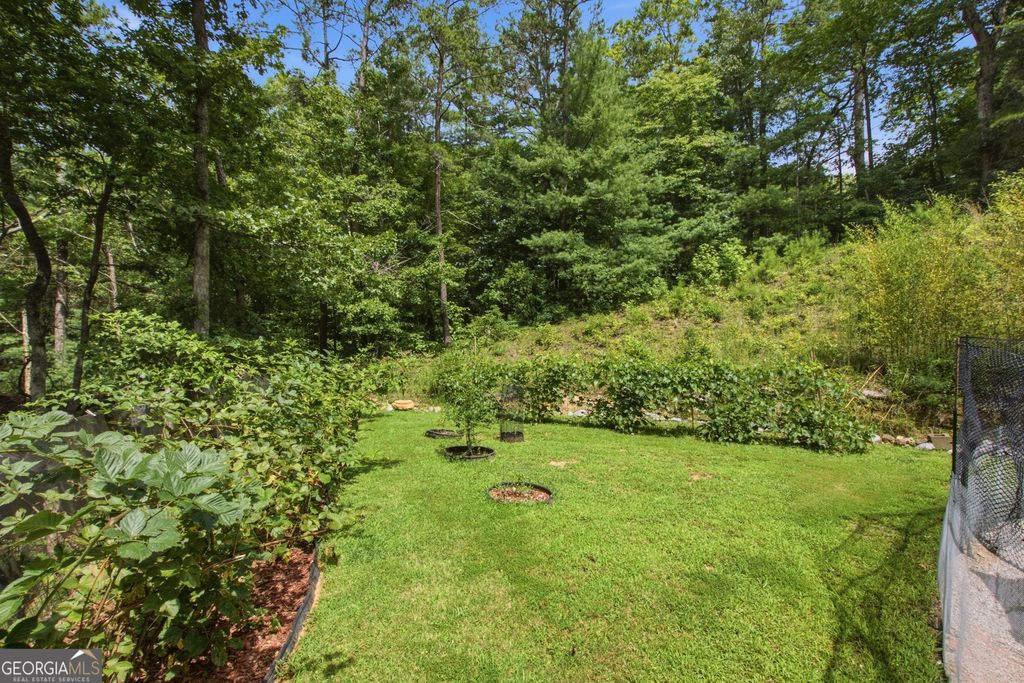 346 Watkins Field Road, Clayton, GA 30525 — photo 4