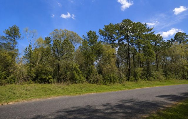 178 Rustic Ranch Drive, New Waverly, TX 77340