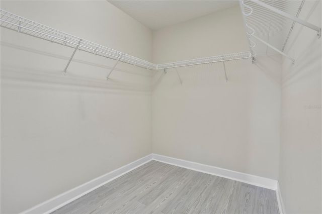 3511 HOLLOW OAK RUN, Oviedo, FL 32766