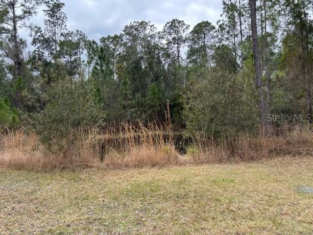 1720 CASSIDY DRIVE, St Cloud, FL 34771
