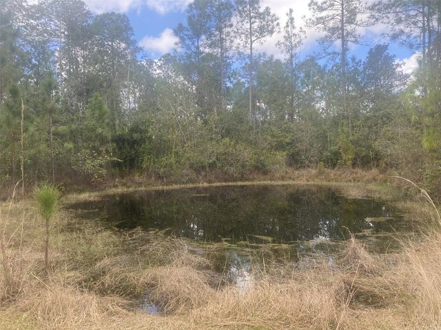 1720 CASSIDY DRIVE, St Cloud, FL 34771