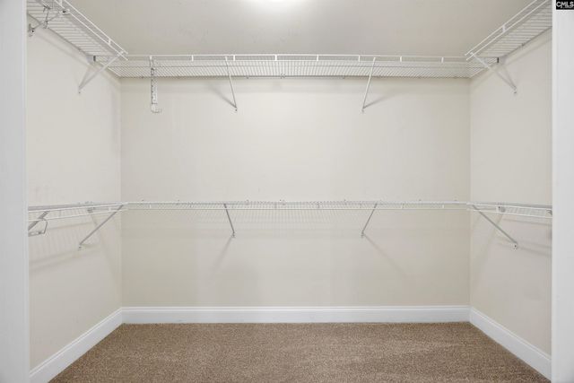 605 Bronze Drive, Lexington, SC 29072