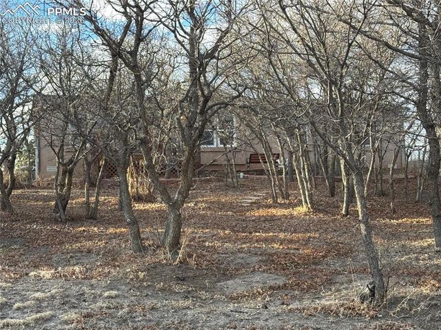 690 Meadow Lane, Palmer Lake, CO 80133