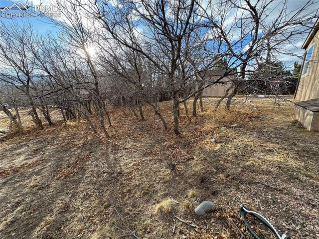 690 Meadow Lane, Palmer Lake, CO 80133