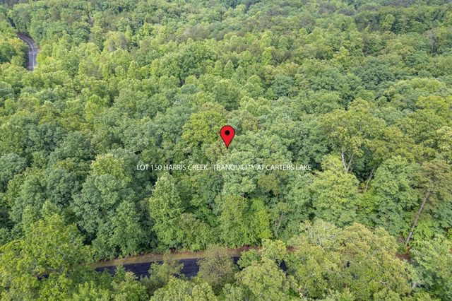 Lot 150 Tranquility @ Carters Lake, Ellijay, GA 30540