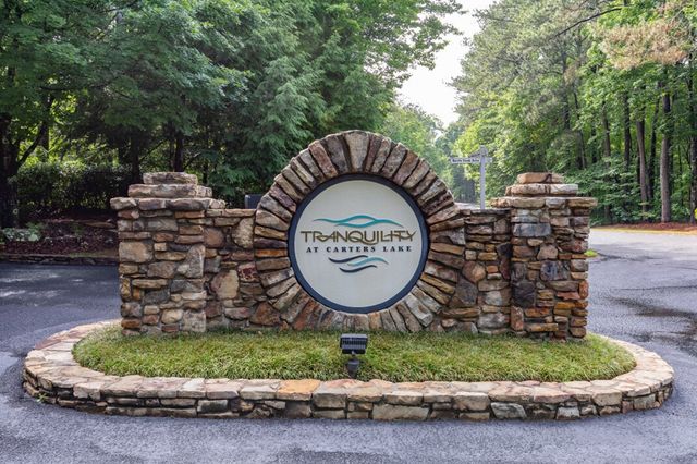 Lot 150 Tranquility @ Carters Lake, Ellijay, GA 30540