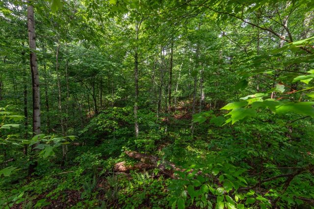 Lot 150 Tranquility @ Carters Lake, Ellijay, GA 30540