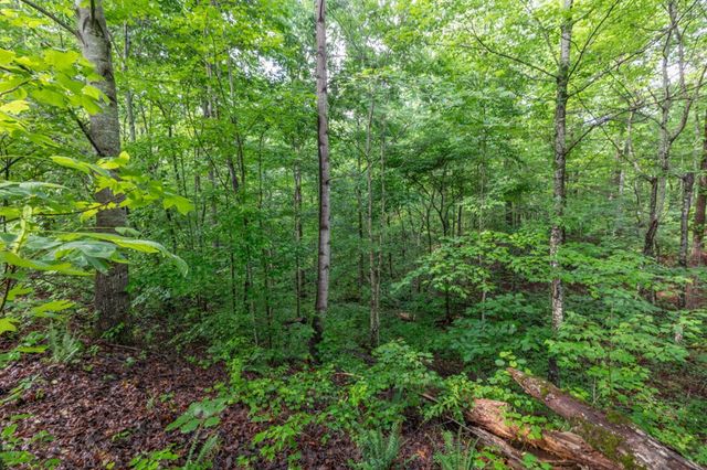 Lot 150 Tranquility @ Carters Lake, Ellijay, GA 30540