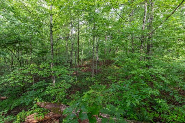 Lot 150 Tranquility @ Carters Lake, Ellijay, GA 30540