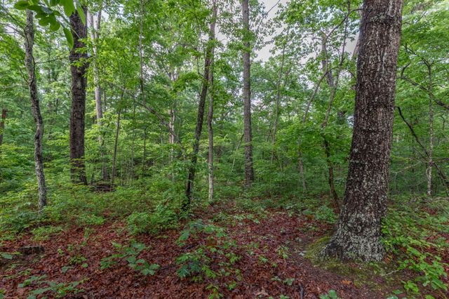 Lot 150 Tranquility @ Carters Lake, Ellijay, GA 30540
