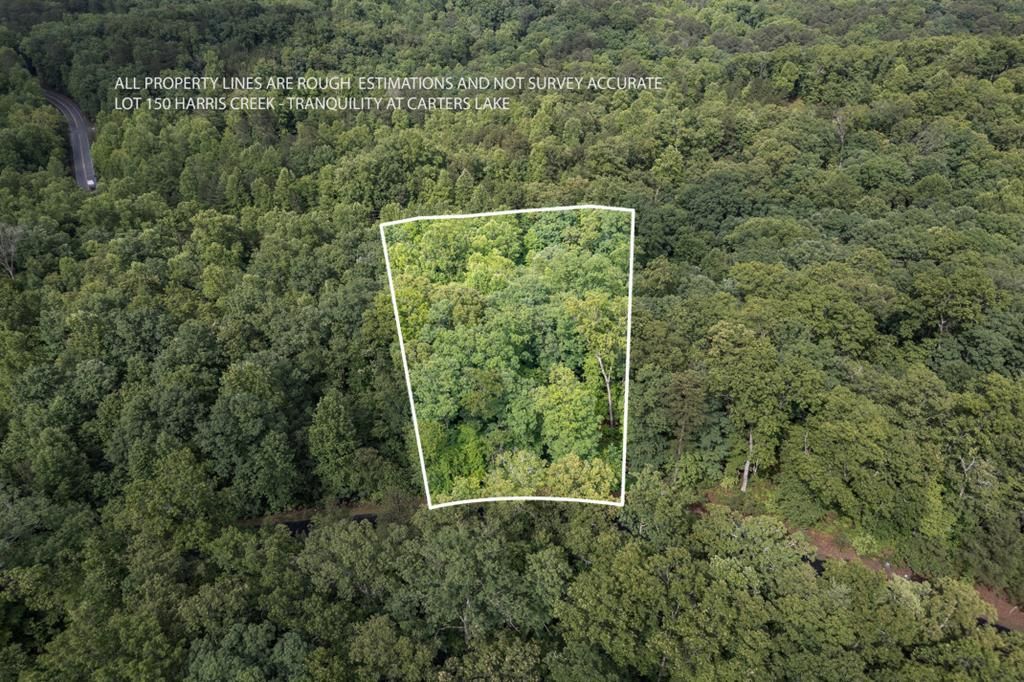 Lot 150 Tranquility @ Carters Lake, Ellijay, GA 30540