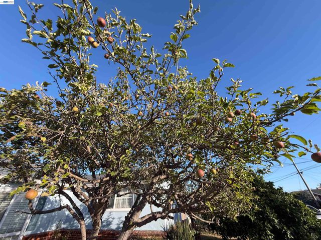 1362 Esser Ave, San Leandro, CA 94579