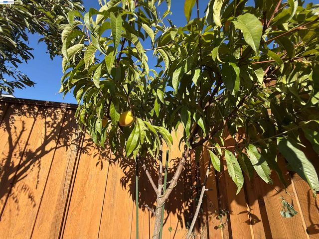 1362 Esser Ave, San Leandro, CA 94579