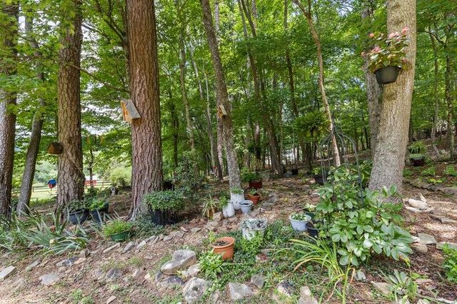 11690 Old Hwy 76, Morganton, GA 30560