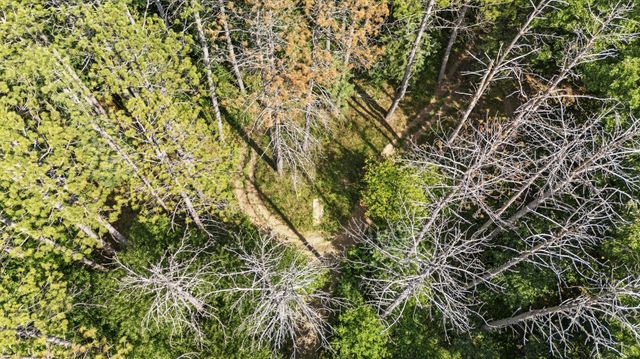 26275 Woodlands Parkway NW, Zimmerman, MN 55398