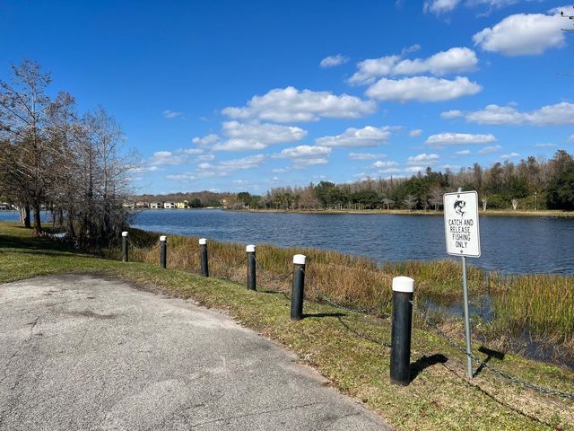 10258 LAKE DISTRICT LANE, Orlando, FL 32832