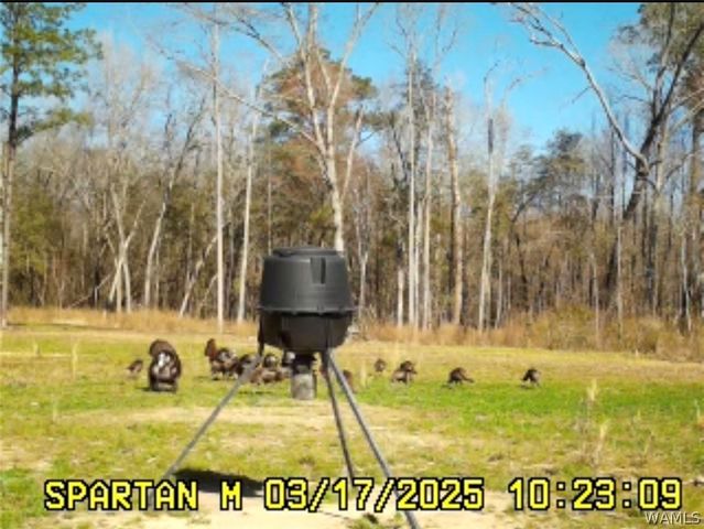 1952 County Road 52, Moundville, AL 35474