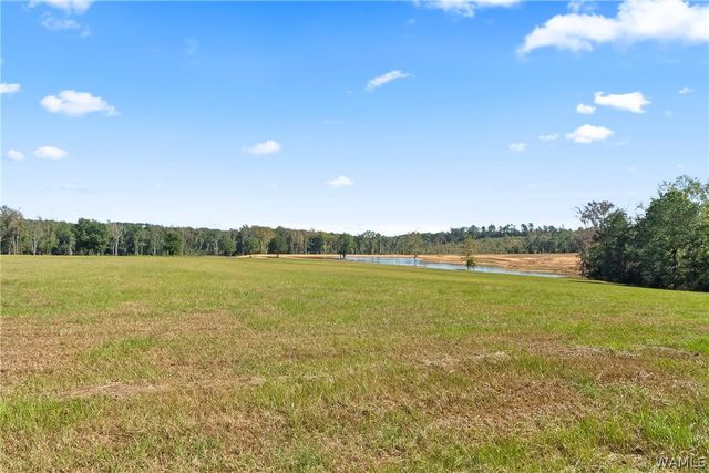 1952 County Road 52, Moundville, AL 35474