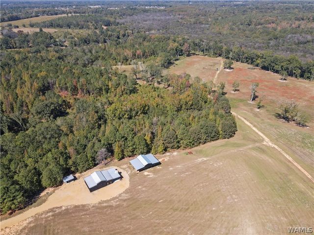 1952 County Road 52, Moundville, AL 35474