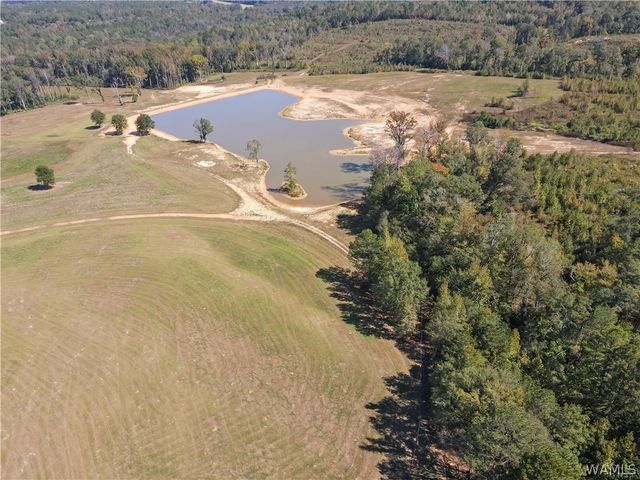 1952 County Road 52, Moundville, AL 35474