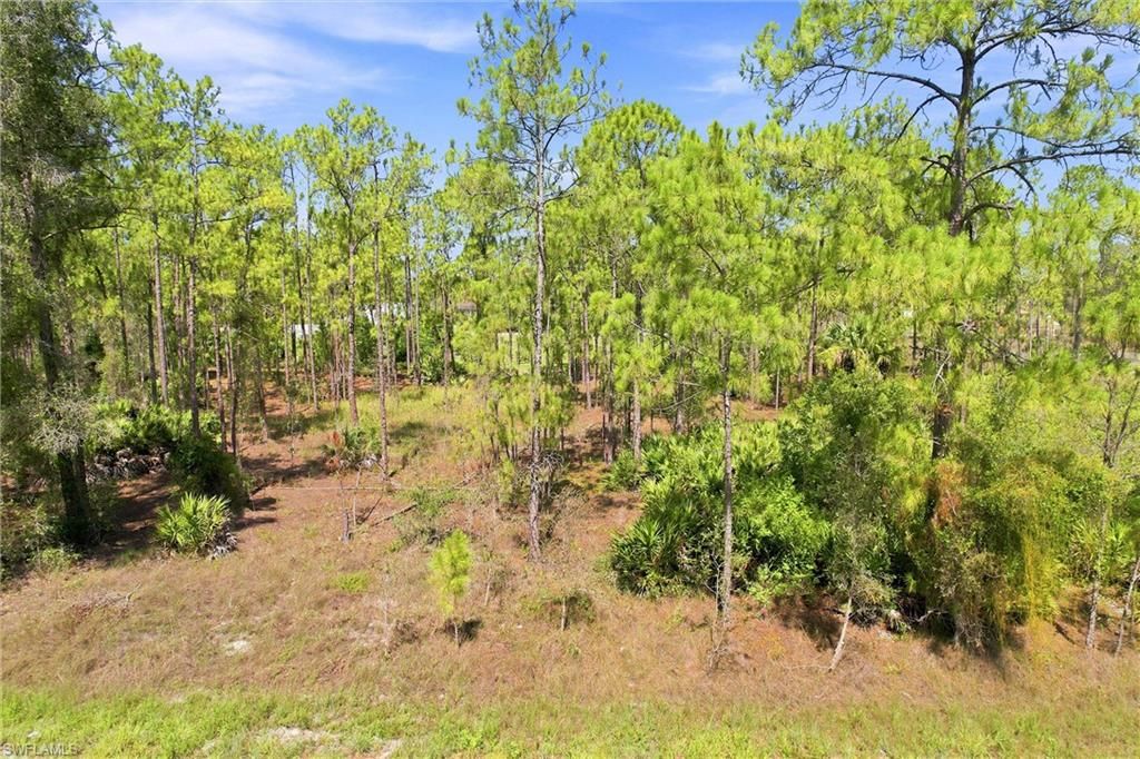 1405 Washington AVE, LEHIGH ACRES, FL 33972 — photo 4