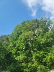 305 ROOSEVELT AVENUE, Birmingham, AL 35214