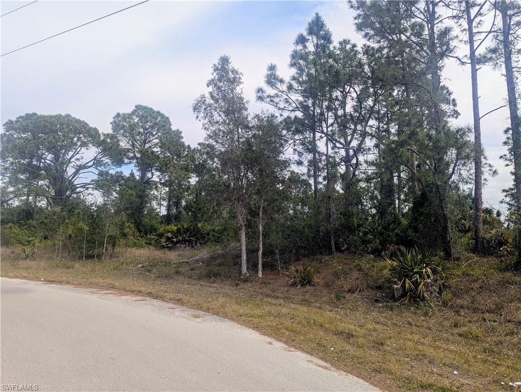 705 Bedford DR, LEHIGH ACRES, FL 33974 — photo 3