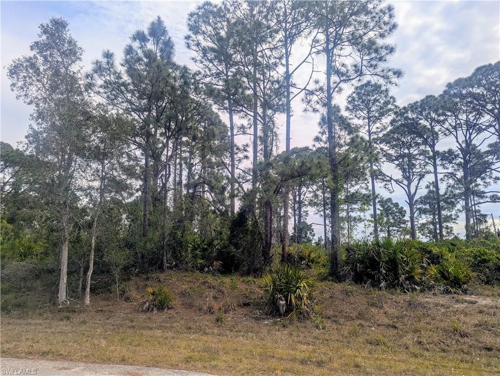 705 Bedford DR, LEHIGH ACRES, FL 33974 — photo 4