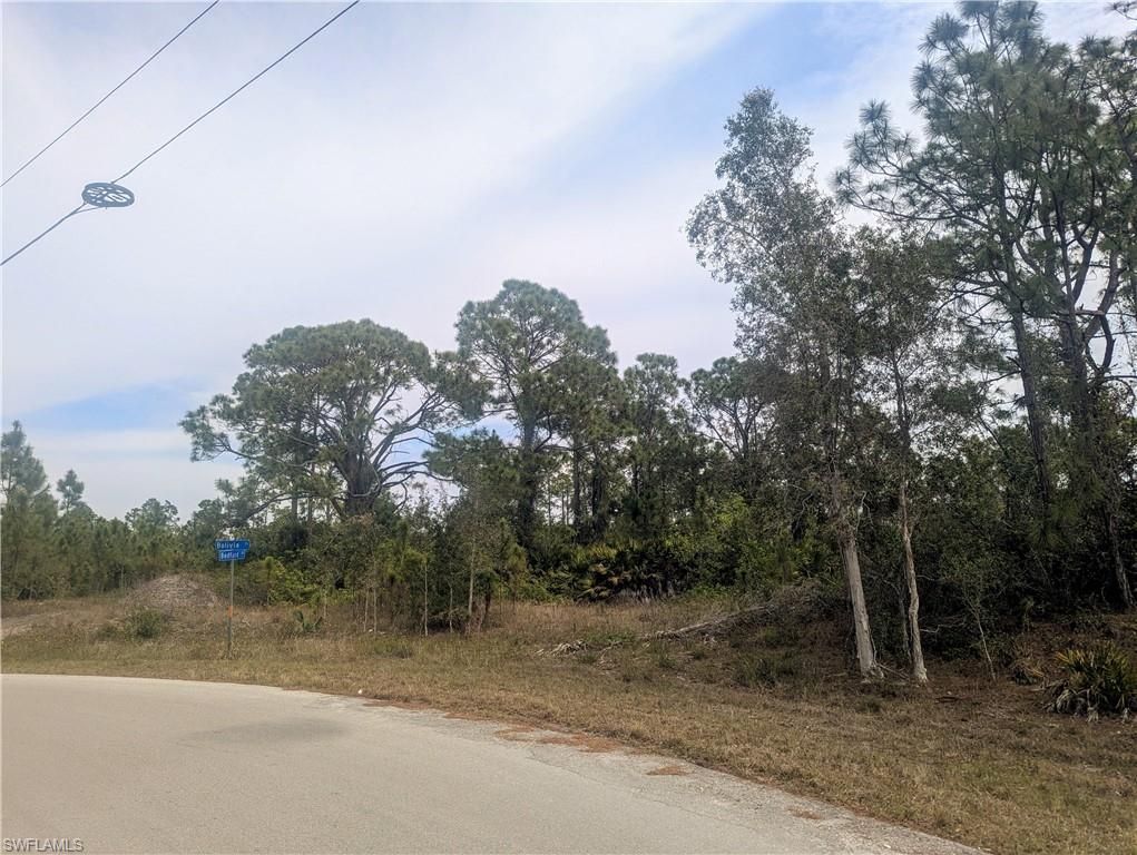 705 Bedford DR, LEHIGH ACRES, FL 33974 — photo 5