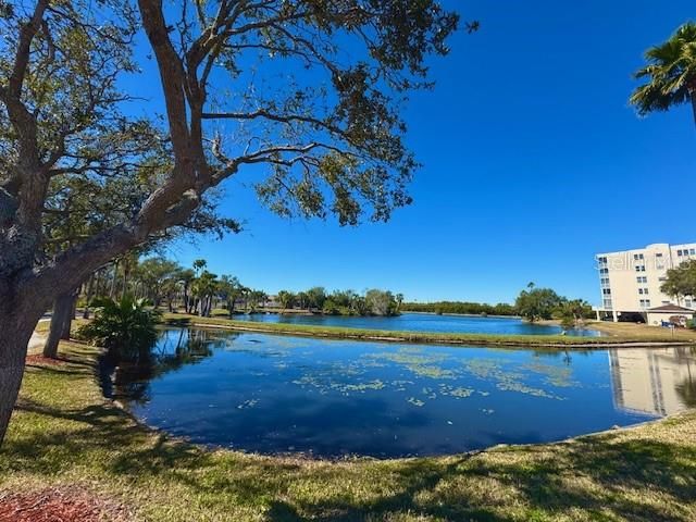 6251 SHORELINE DRIVE 2205, St Petersburg, FL 33708