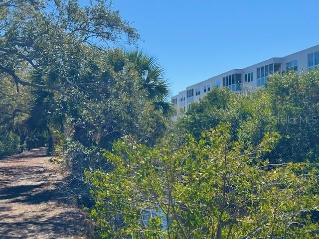 6251 SHORELINE DRIVE 2205, St Petersburg, FL 33708