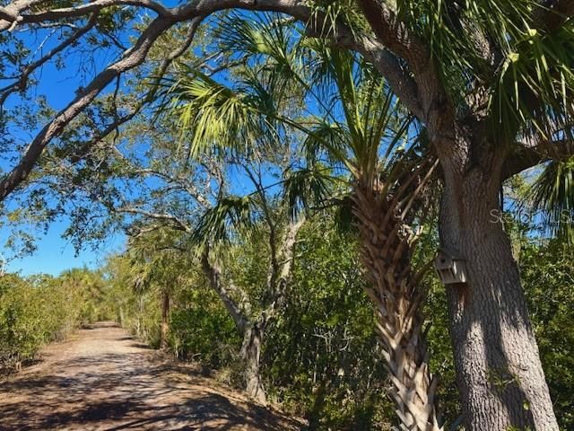 6251 SHORELINE DRIVE 2205, St Petersburg, FL 33708