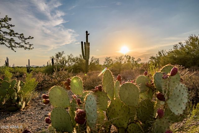 6505 E OLD PAINT Trail, Carefree, AZ 85377