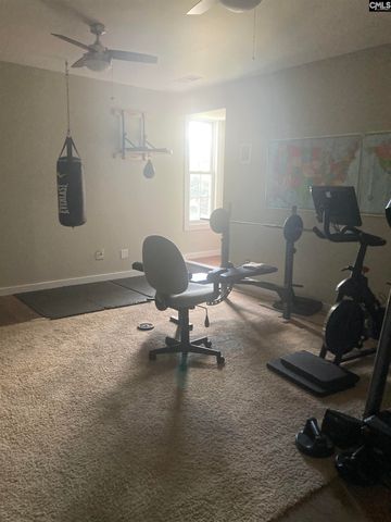 113 Montauk Drive, Lexington, SC 29072