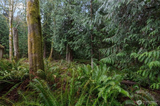 2408 208th Place SE, Bothell, WA 98021