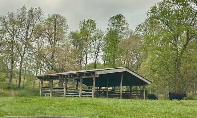 410 County Road 264, Niota, TN 37826