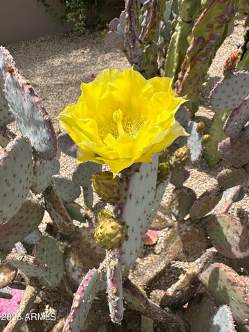 7485 E TUMBLEWEED Drive, Scottsdale, AZ 85266