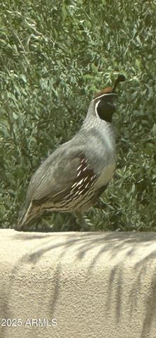 7485 E TUMBLEWEED Drive, Scottsdale, AZ 85266