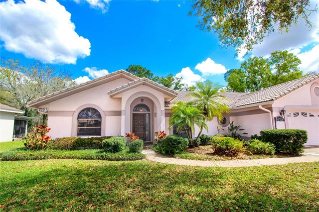 1003 CALLE ROSA PLACE, Sun City Center, FL 33573