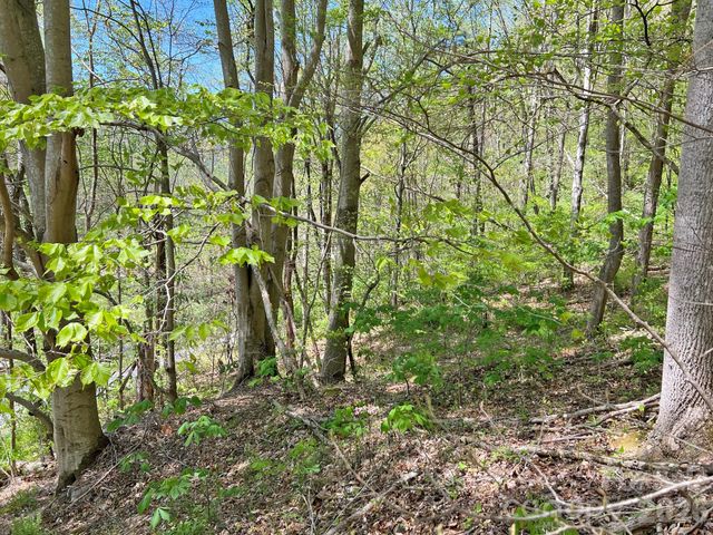 9999 NC 209 Highway, Hot Springs, NC 28743
