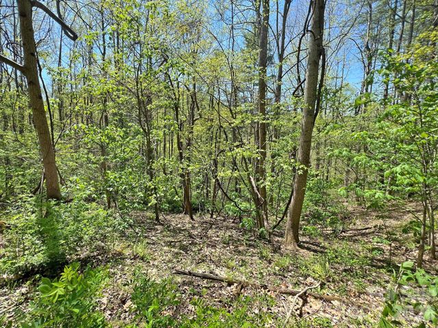 9999 NC 209 Highway, Hot Springs, NC 28743