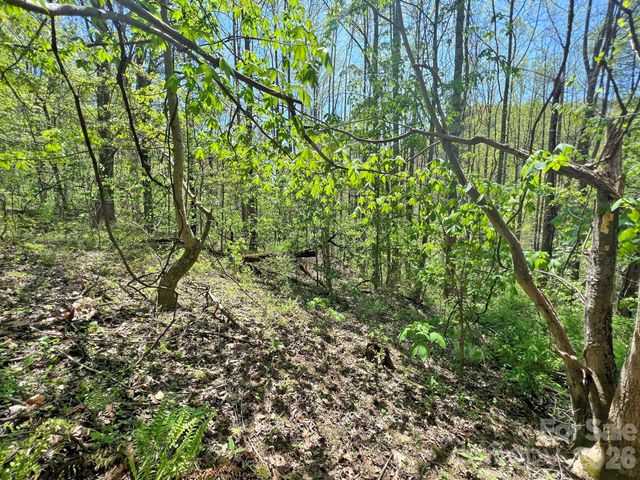 9999 NC 209 Highway, Hot Springs, NC 28743