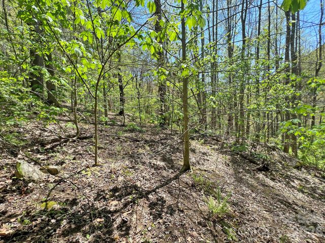 9999 NC 209 Highway, Hot Springs, NC 28743