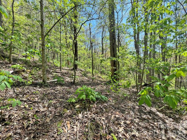 9999 NC 209 Highway, Hot Springs, NC 28743
